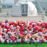 グランピングテントイベントを動画配信していただきました。