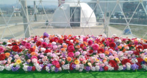 グランピングテントイベントを動画配信していただきました。